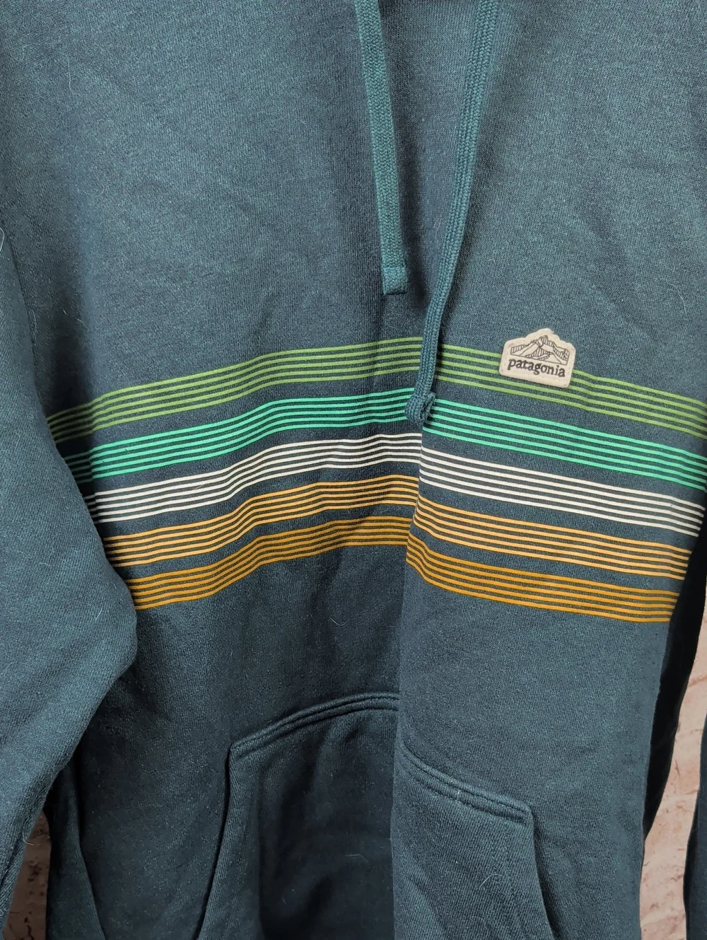 Patagonia Men's Teal Hoodie Sweatshirt Medium